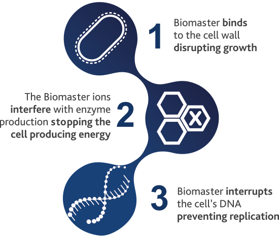 biomaster diagram