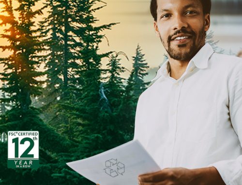 Sustainable A4 Office Paper for your Business