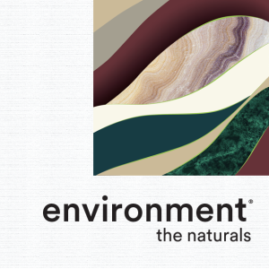 Various swatches of Neenah Environment paper in organic, earthy tones.