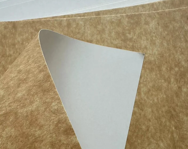 Kraft Back Duplex board showing a coated white top printing surface paired with a rugged, natural brown kraft reverse side.